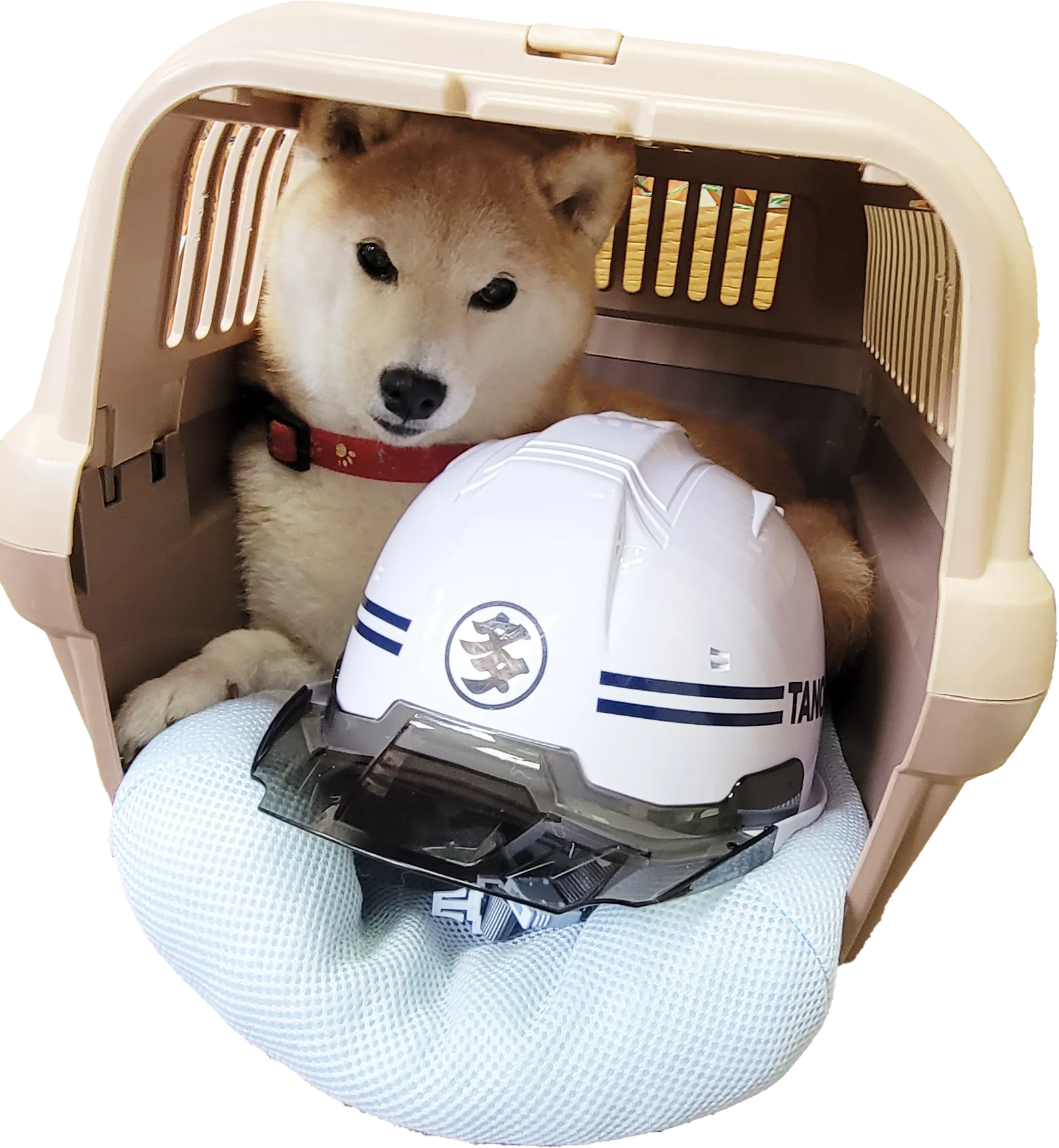 株式会社多野商会は、クレーンの専門技術を活かしたオペレーター付クレーンリース業です。