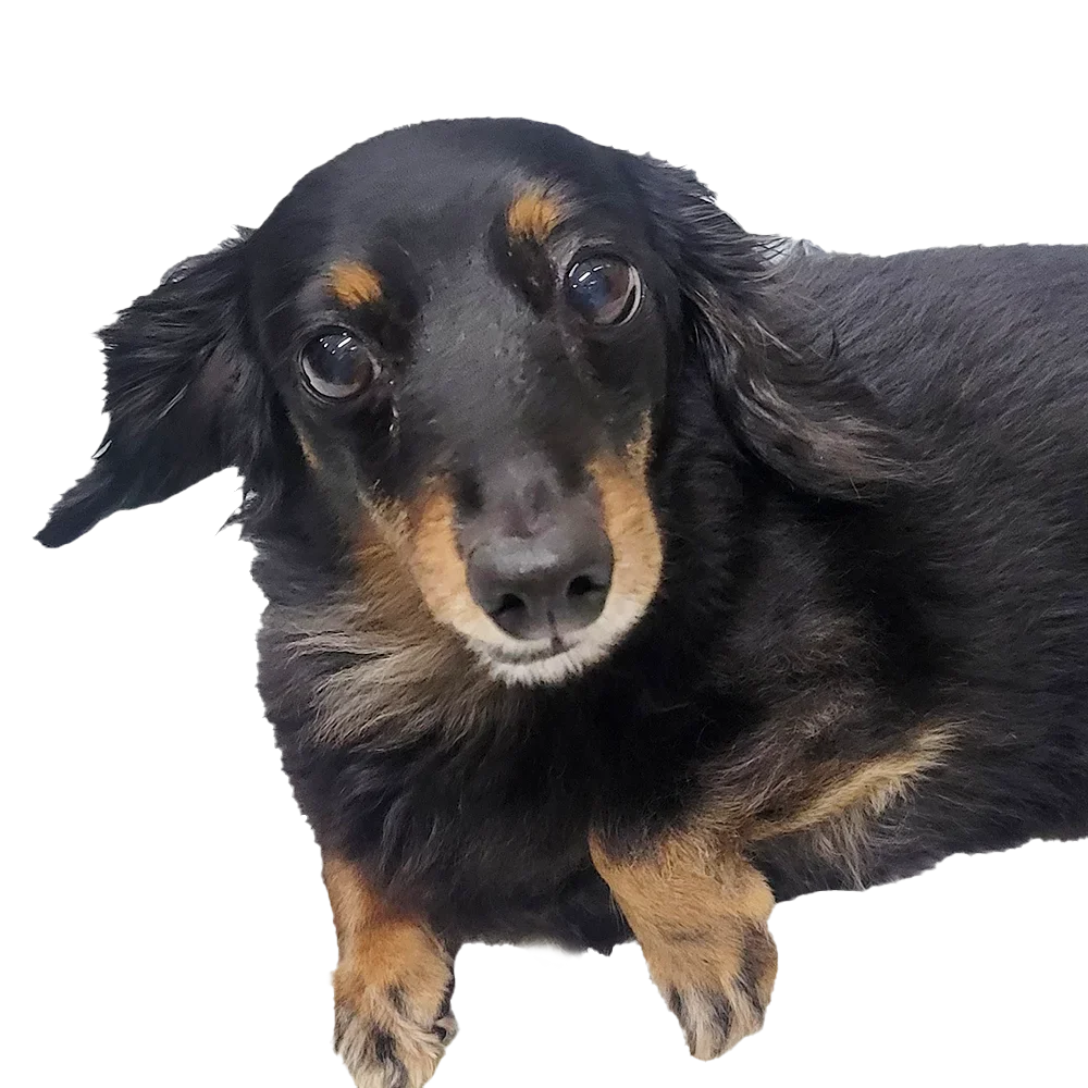 採用情報に関するお問い合わせ