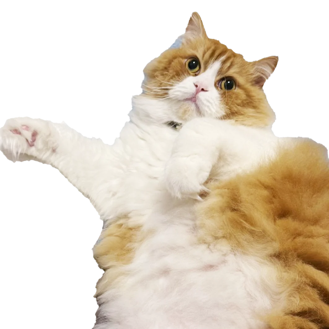 採用情報に関するお問い合わせ