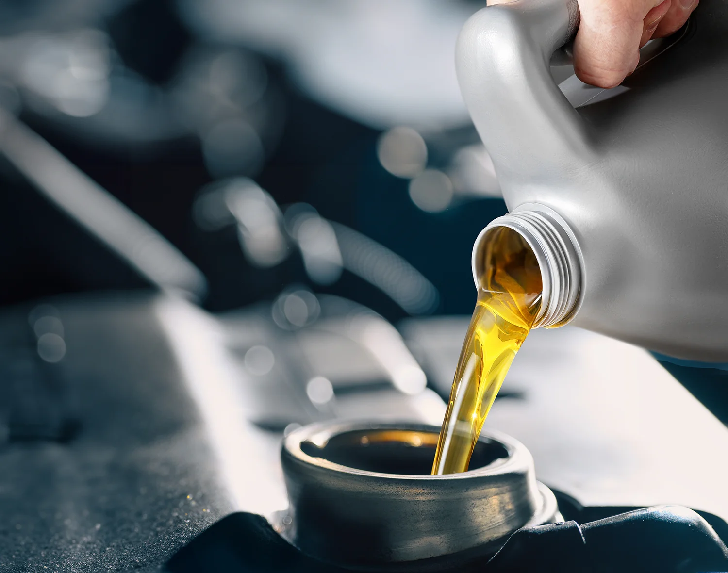 燃料油脂販売業