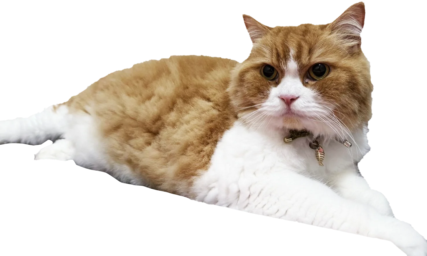 環境エネルギー事業部